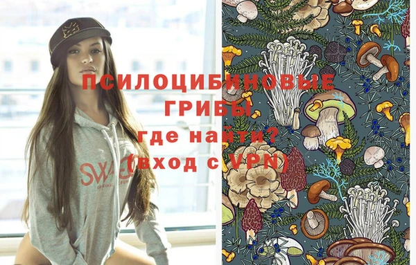 мдпв Беломорск