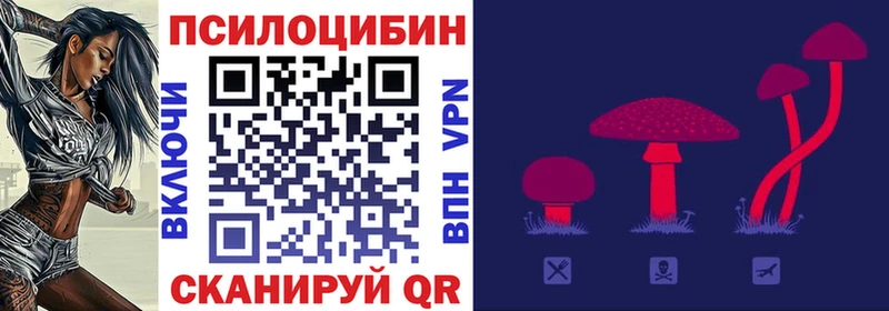 Псилоцибиновые грибы MAGIC MUSHROOMS  blacksprut вход  Краснотурьинск 